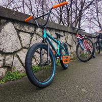 Bici BMX