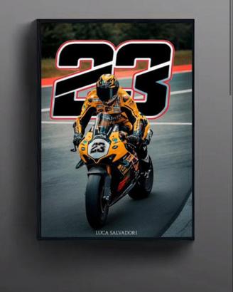 Poster salvadori