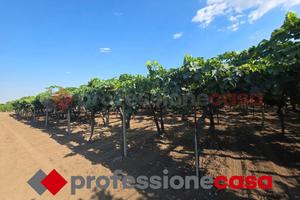 Terreno Agricolo Taranto [Professionecasa2026VRG]