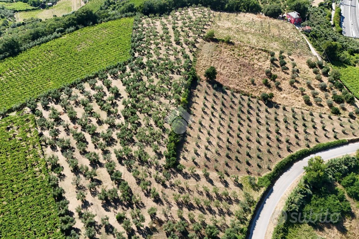 TER. AGRICOLO A FRANCAVILLA AL MARE - Vista 5