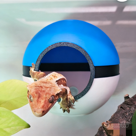 tana grotta nascondiglio Pokeball di Pokemon