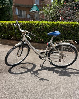 Bici da passeggio