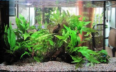 Acquario 120 litri