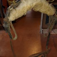 cinghia da cavallo 