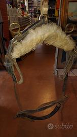 cinghia da cavallo 
