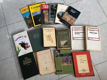 Libri e guide turistiche varie