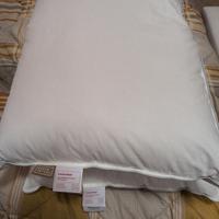 coppia cuscini Dream In 101