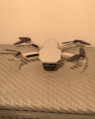 DJI Mini 2  ( con Assicurazione ) Fly More Combo
