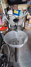 Bicicletta tre ruote