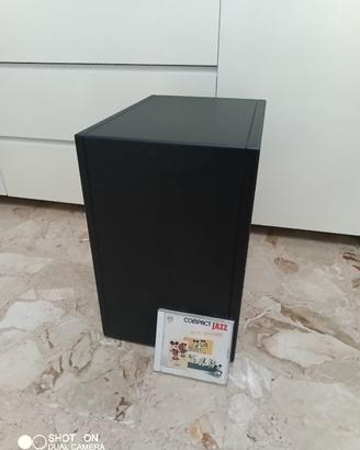 subwoofer passivo 