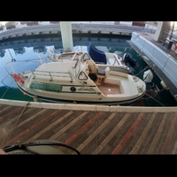 Fiart cariddi 22 cabin
