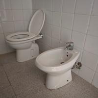 Tazza WC e bidet