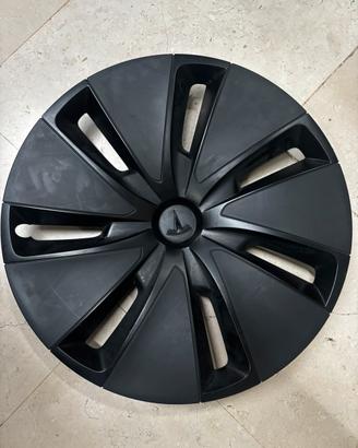 Copriruota tesla