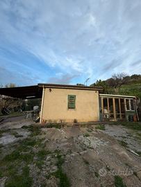 Casa indipendente con 5000m di terreno