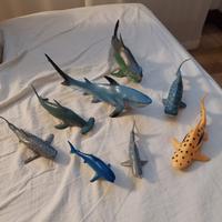 Set squali. Modelli realistici giocattoli