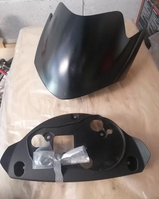 Cupolino Triumph Street Triple 2010