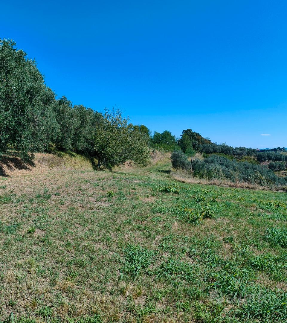 2 terreni agricoli a Lari (pi) - Vista 5