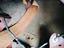 Immagine 5