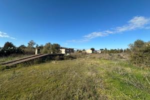 Terreno con ufficio e capannoni