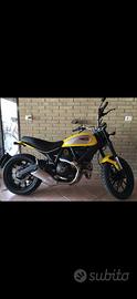 Ducati Scrambler Icon800