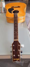 chitarra acustica hollywood nuova 
