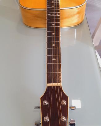 chitarra acustica hollywood nuova 