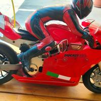 Thunder Tigern 1/5 Ducati 999