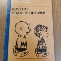 Povero Charlie Brown 