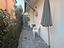 Immagine 23