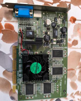 scheda video geforce 2 gts agp gb0010