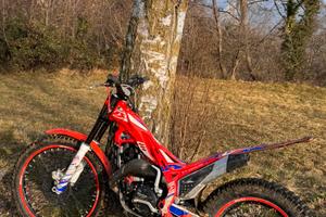 Beta evo 300 factory