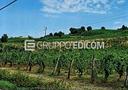 terreno-borgoratto-mormorolo-