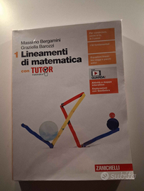 Lineamenti di matematica Bergamini, Barozzi