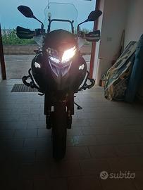 Benelli trk 502x