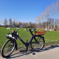 Velosolex 3800