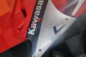 carene zxr 750 stinger