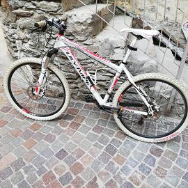 Bicicletta mtb