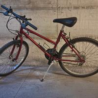 Bicicletta Mountain bike 