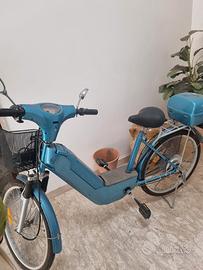 Bici elettrica 