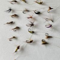 N.20 Mosche per pesca alla trota