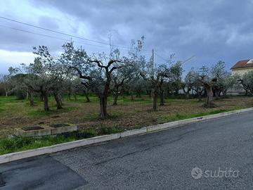Terreno Residenziale Vasto [IM202260VRG]