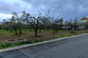 Terreno Residenziale Vasto [IM202260VRG]