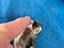 Immagine 4