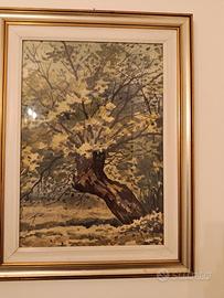 Quadro 