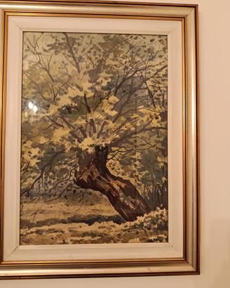 Quadro 