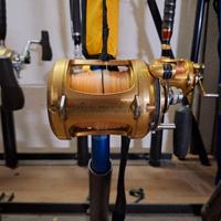 MULINELLO PENN INTERNATIONAL 50VSW