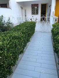 Appartamento ristrutturato alle porte del Gargano