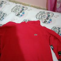 felpa  Lacoste felpa Lacoste taglia 11 anni 