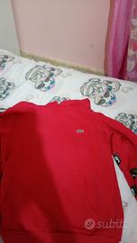 felpa  Lacoste felpa Lacoste taglia 11 anni 