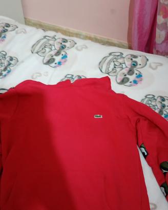 felpa  Lacoste felpa Lacoste taglia 11 anni 
